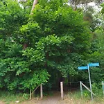Alicja Apartman *