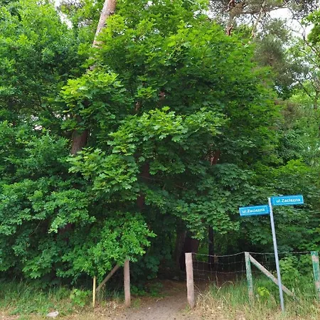 Alicja Διαμέρισμα *